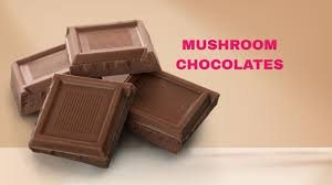 How Long Does It Take Mushroom Chocolate To Kick In?